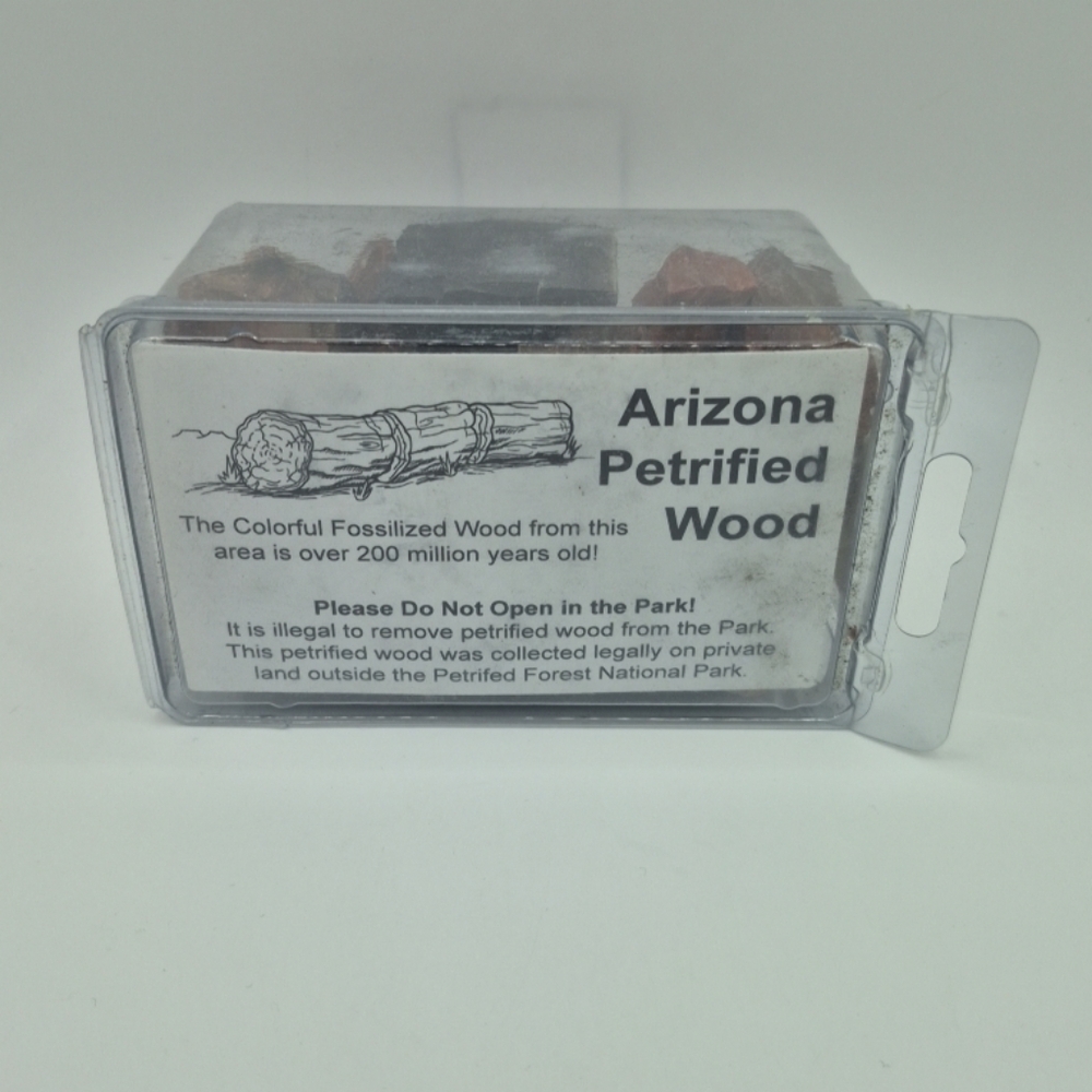 Arizona Petrified Wood 200 Million Years Old! Petrified Forest Natural Park